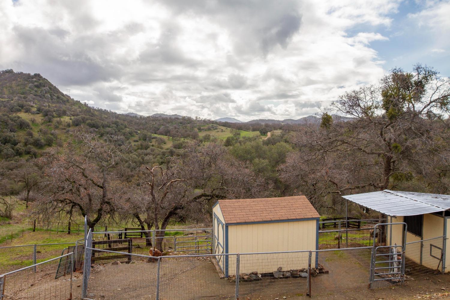 747 Winter Road Squaw Valley, CA 93675 - Photo 63 of 76 Gallery Image 63