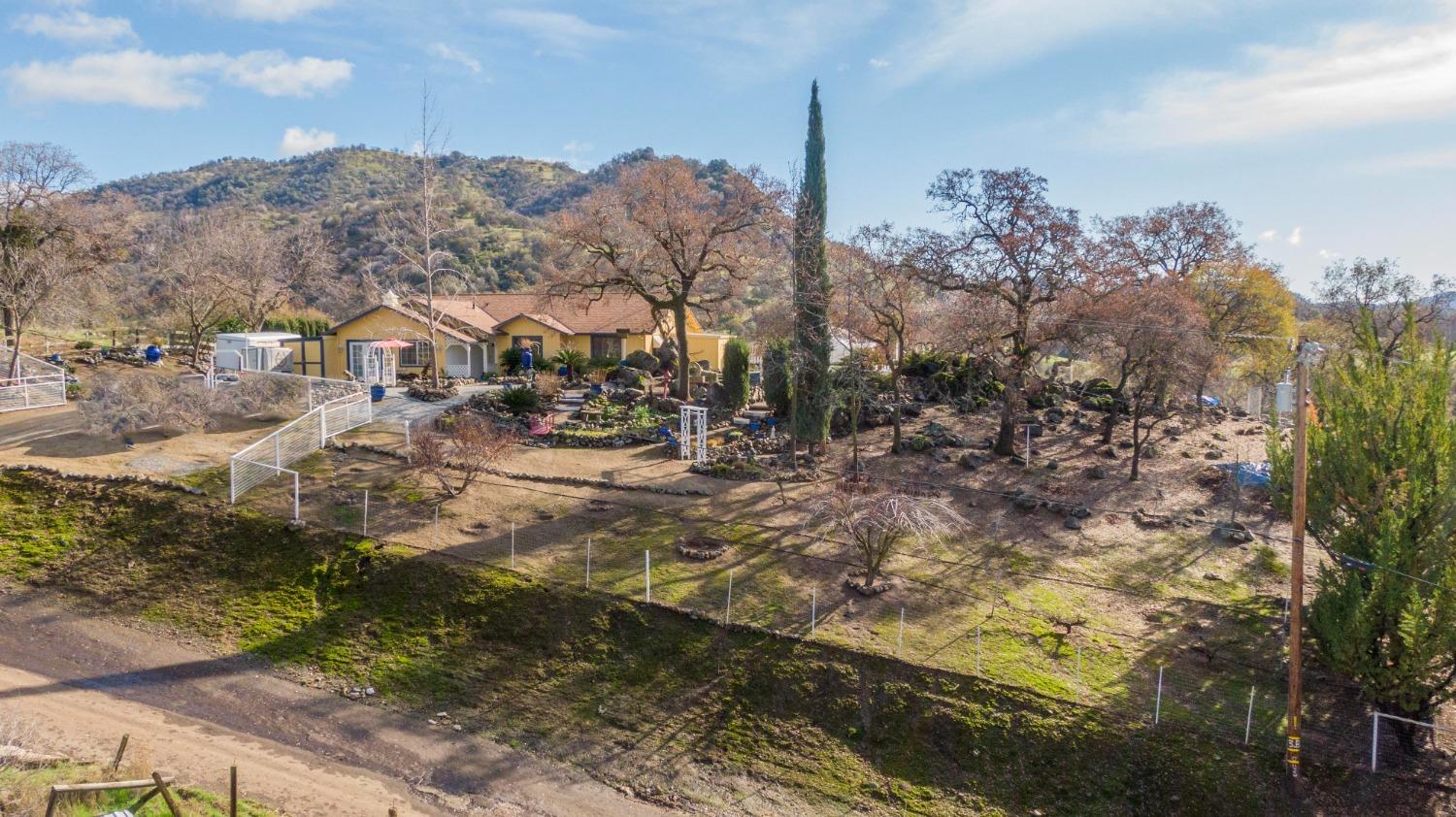 747 Winter Road Squaw Valley, CA 93675 - Photo 8 of 76 Gallery Image 8