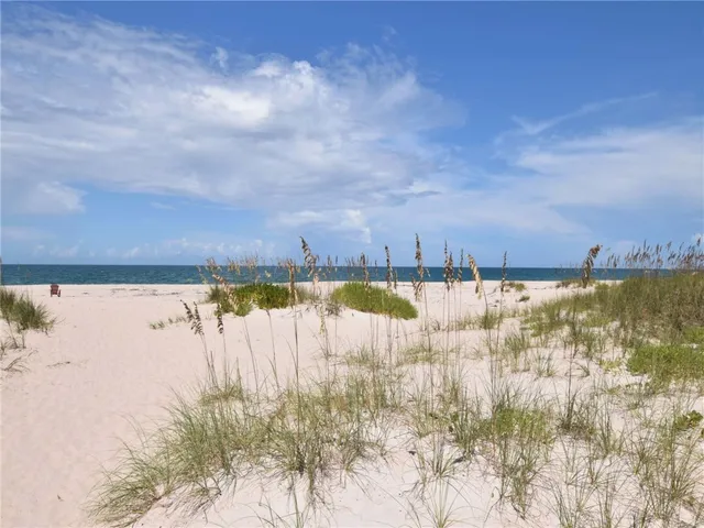 a view of a dry yard