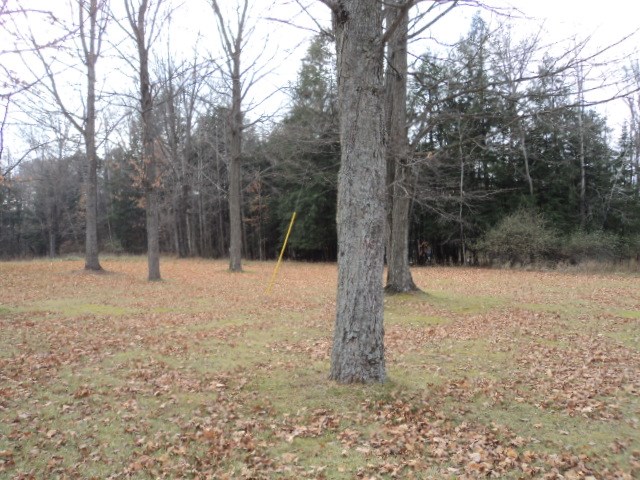 7379 West Dyer Road Twining, MI 48766 - Photo 13 of 15 1840649-13.JPG