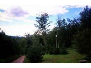 0 New Chester Road Hill, NH 03243 - Photo 3 of 3
