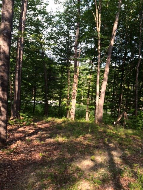 Lot 5 Burbank Hill Road Strong, ME 04983 - Photo 16 of 20 Photo