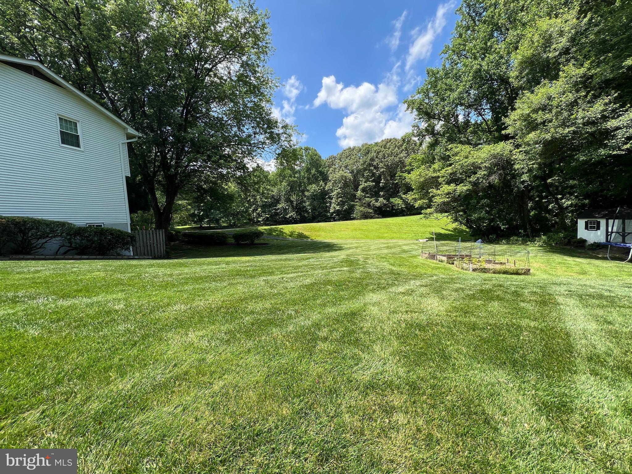 6103 Winter Park Drive Burke, VA 22015 - Photo 5 of 93 Expansive side yard.