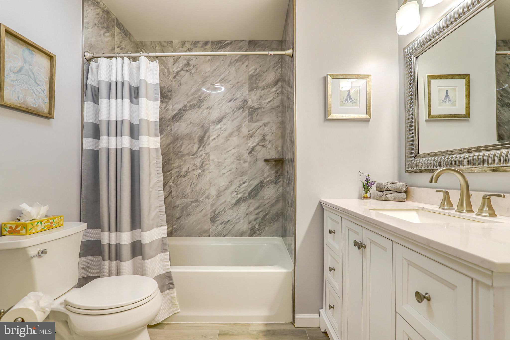 6103 Winter Park Drive Burke, VA 22015 - Photo 53 of 93 Hall Bath updated in 2021.