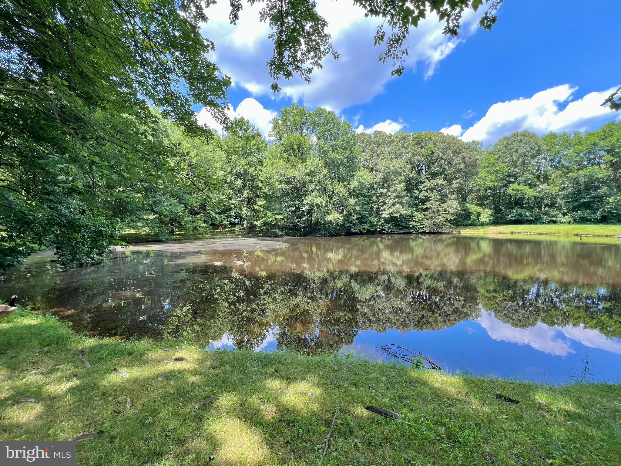 6103 Winter Park Drive Burke, VA 22015 - Photo 70 of 93 Rare bucolic setting.