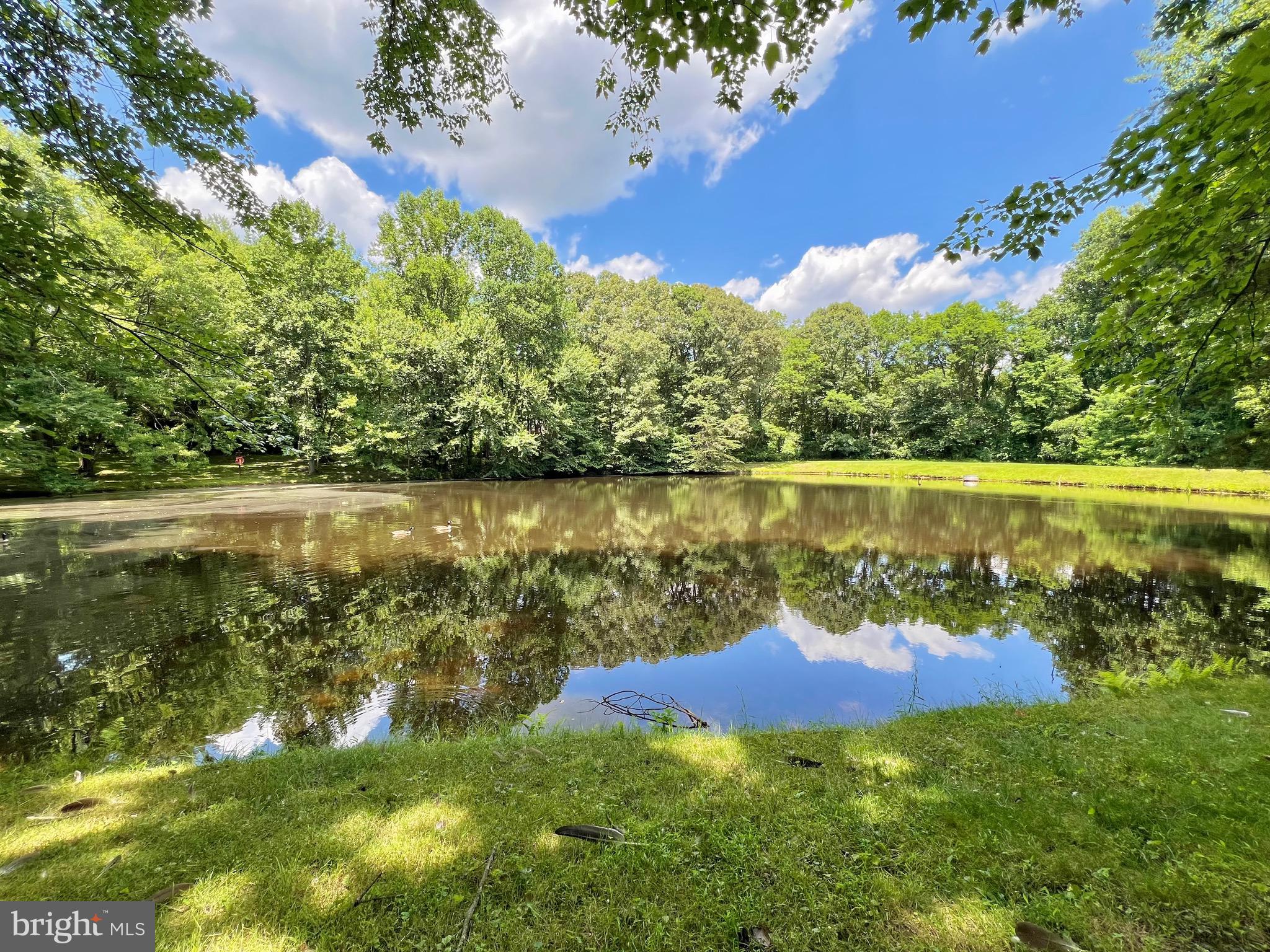 6103 Winter Park Drive Burke, VA 22015 - Photo 71 of 93 Don’t you want to come home to these views??