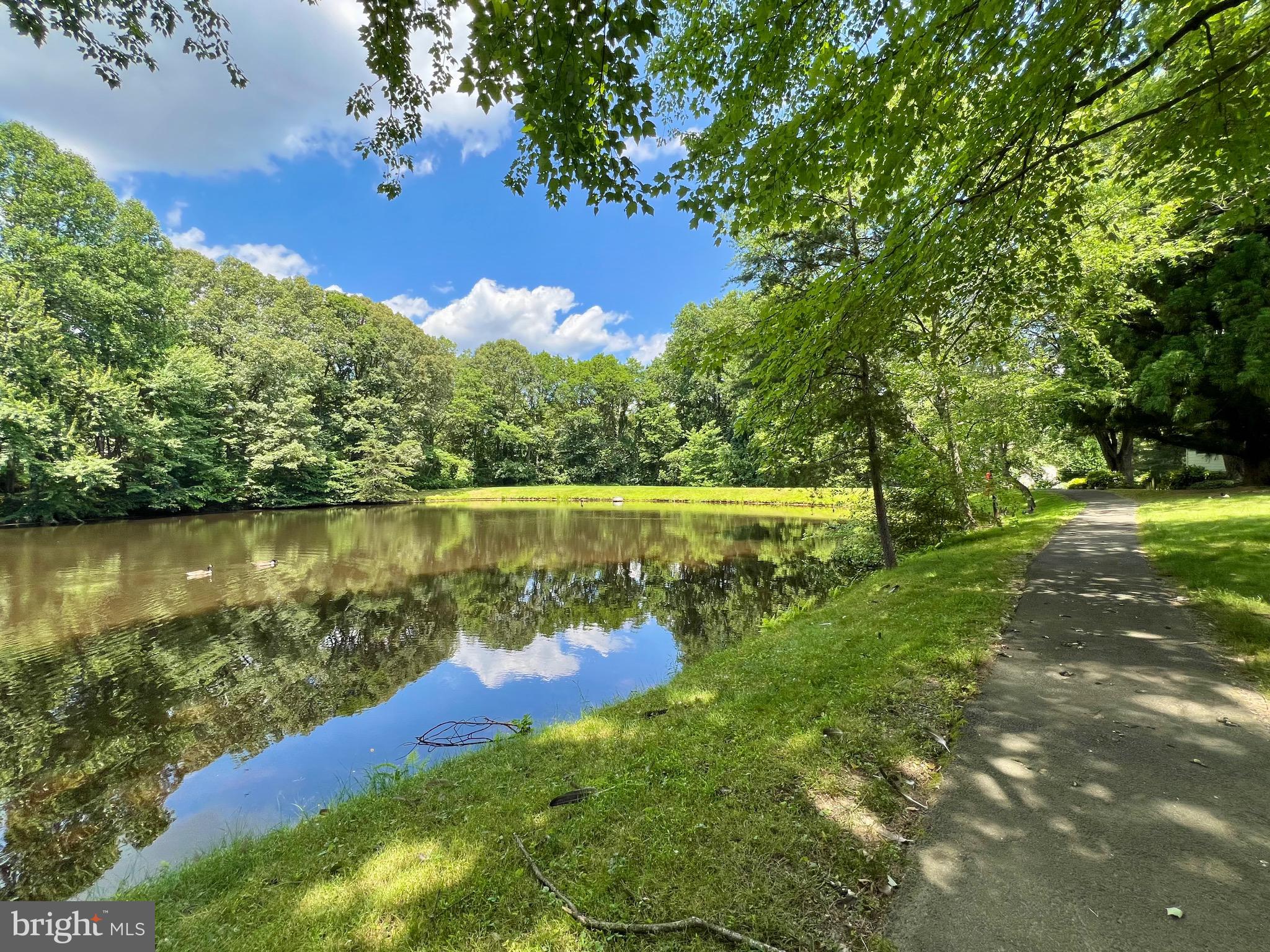6103 Winter Park Drive Burke, VA 22015 - Photo 72 of 93 Take a leisure stroll at the end of a long day.