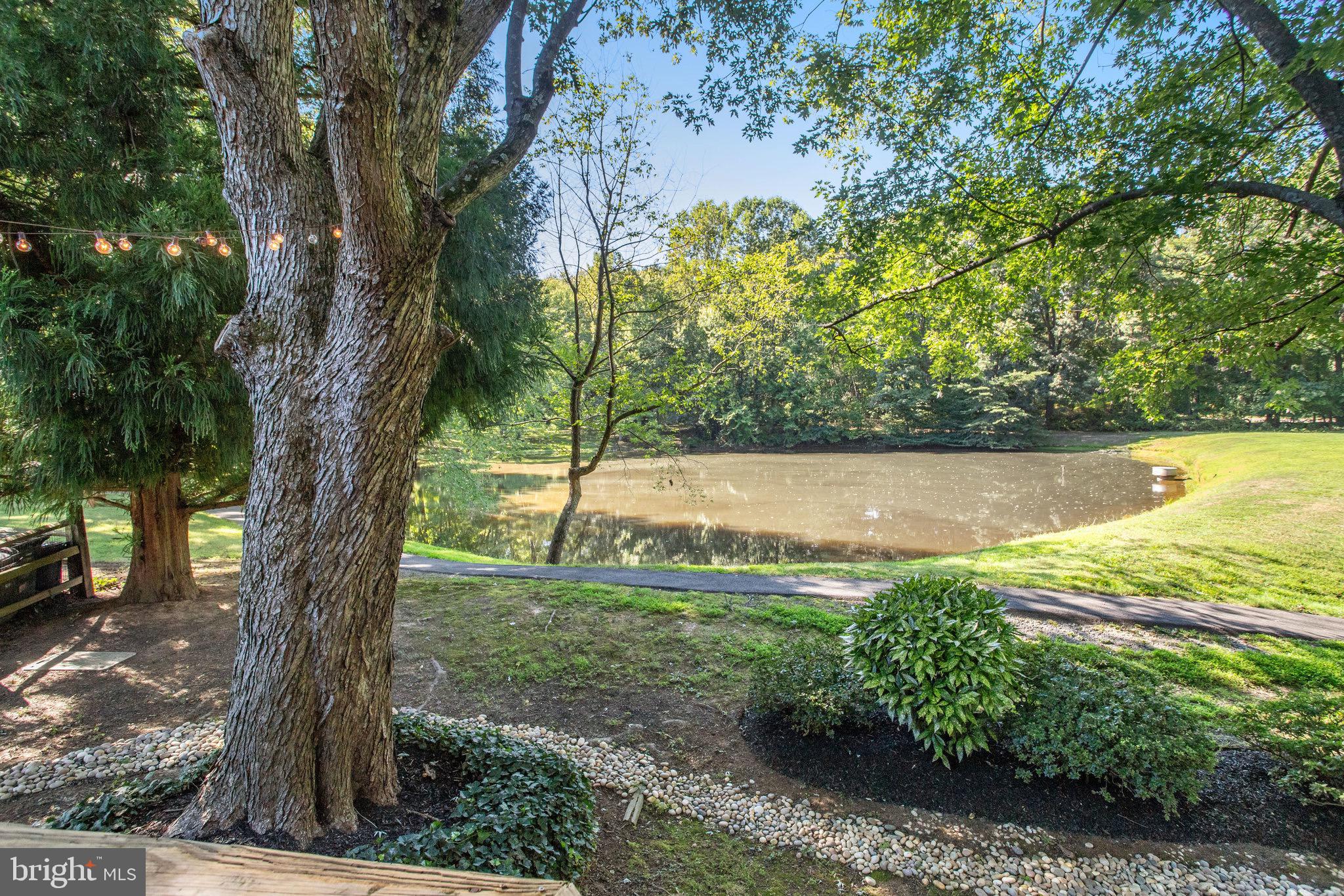 6103 Winter Park Drive Burke, VA 22015 - Photo 74 of 93 Freshly landscaped.