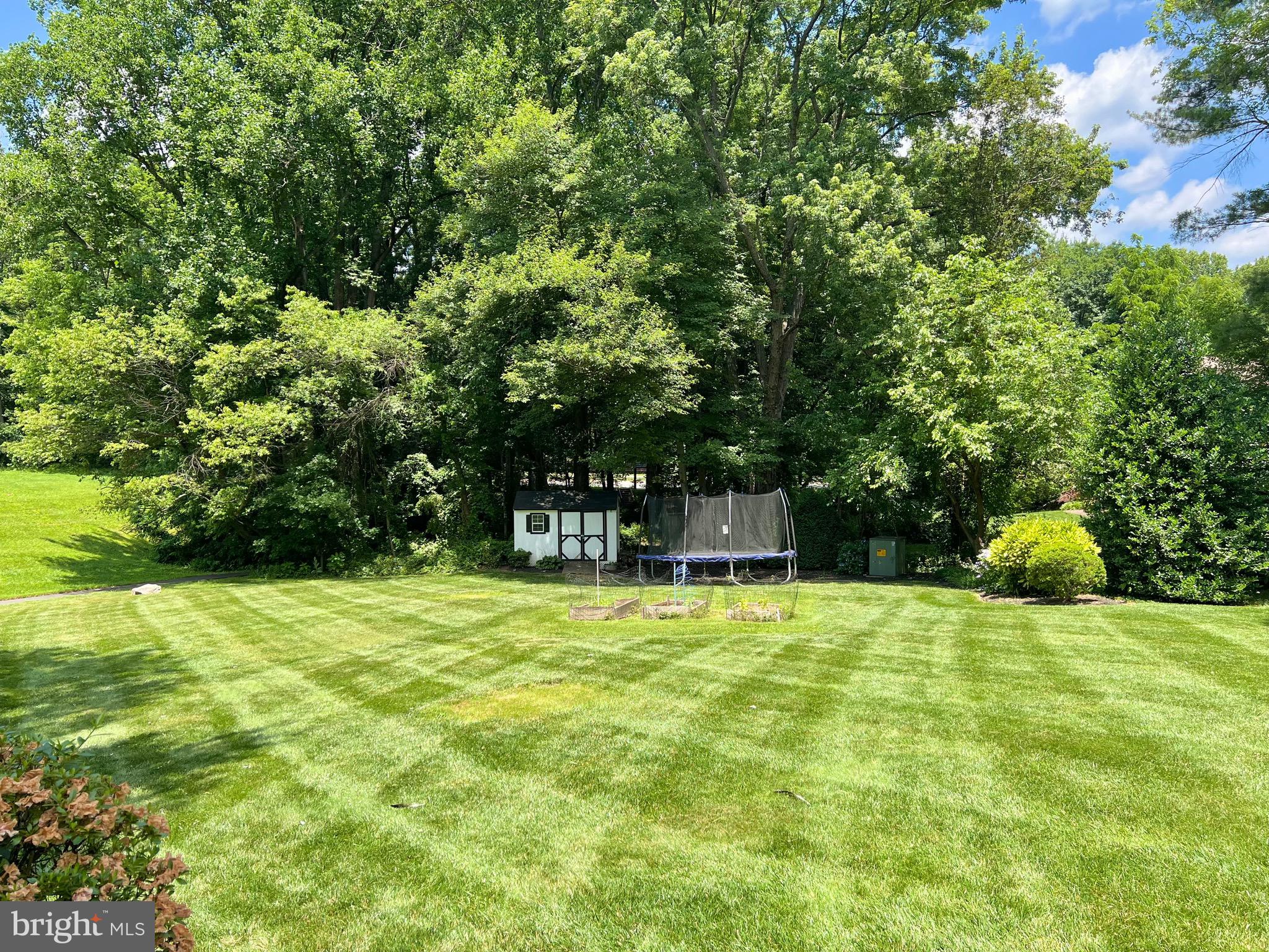 6103 Winter Park Drive Burke, VA 22015 - Photo 75 of 93 Large yard for romping w/ Fido & family.