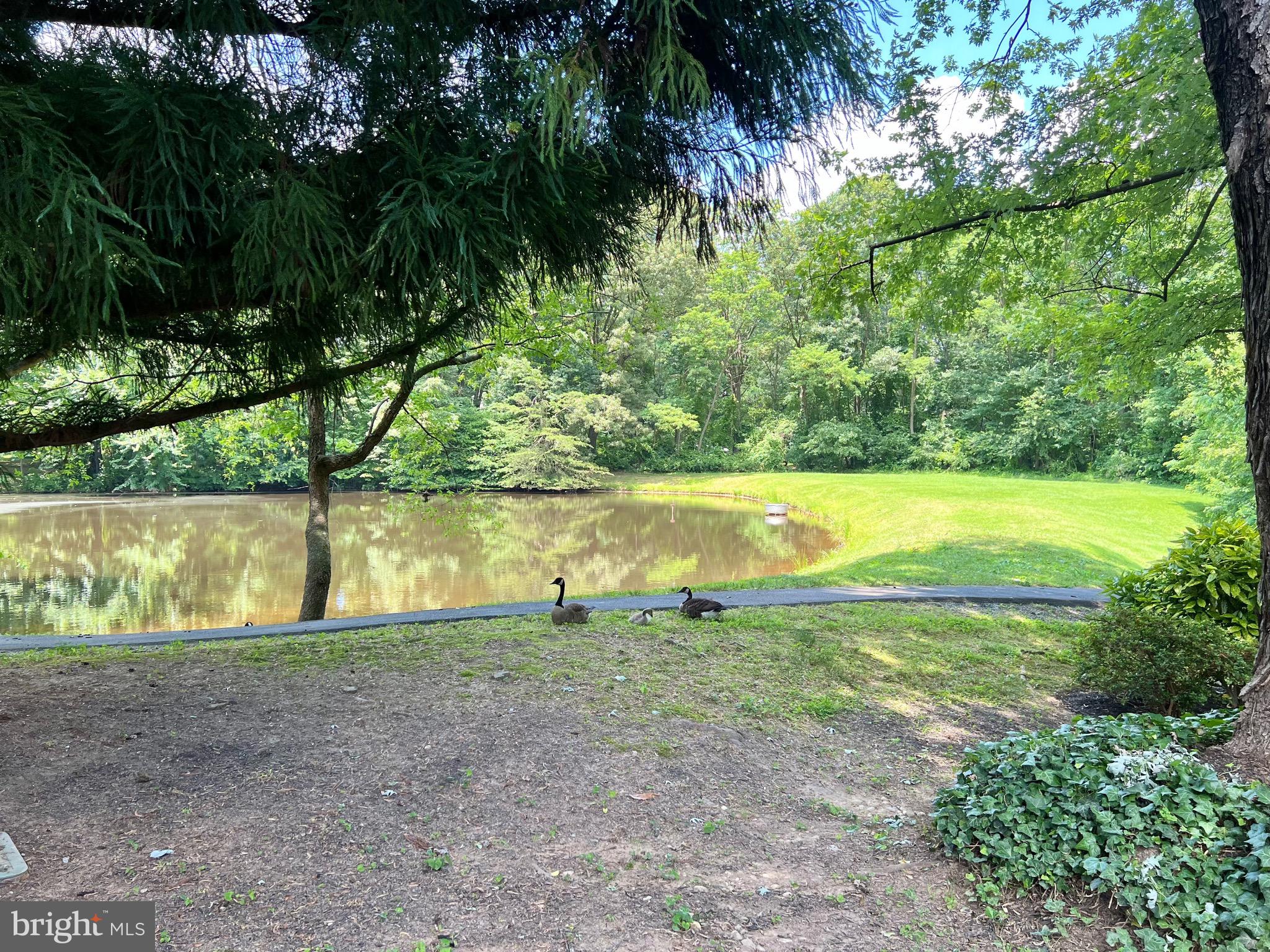 6103 Winter Park Drive Burke, VA 22015 - Photo 86 of 93 Spend lazy Summer days gazing at the flora & fauna