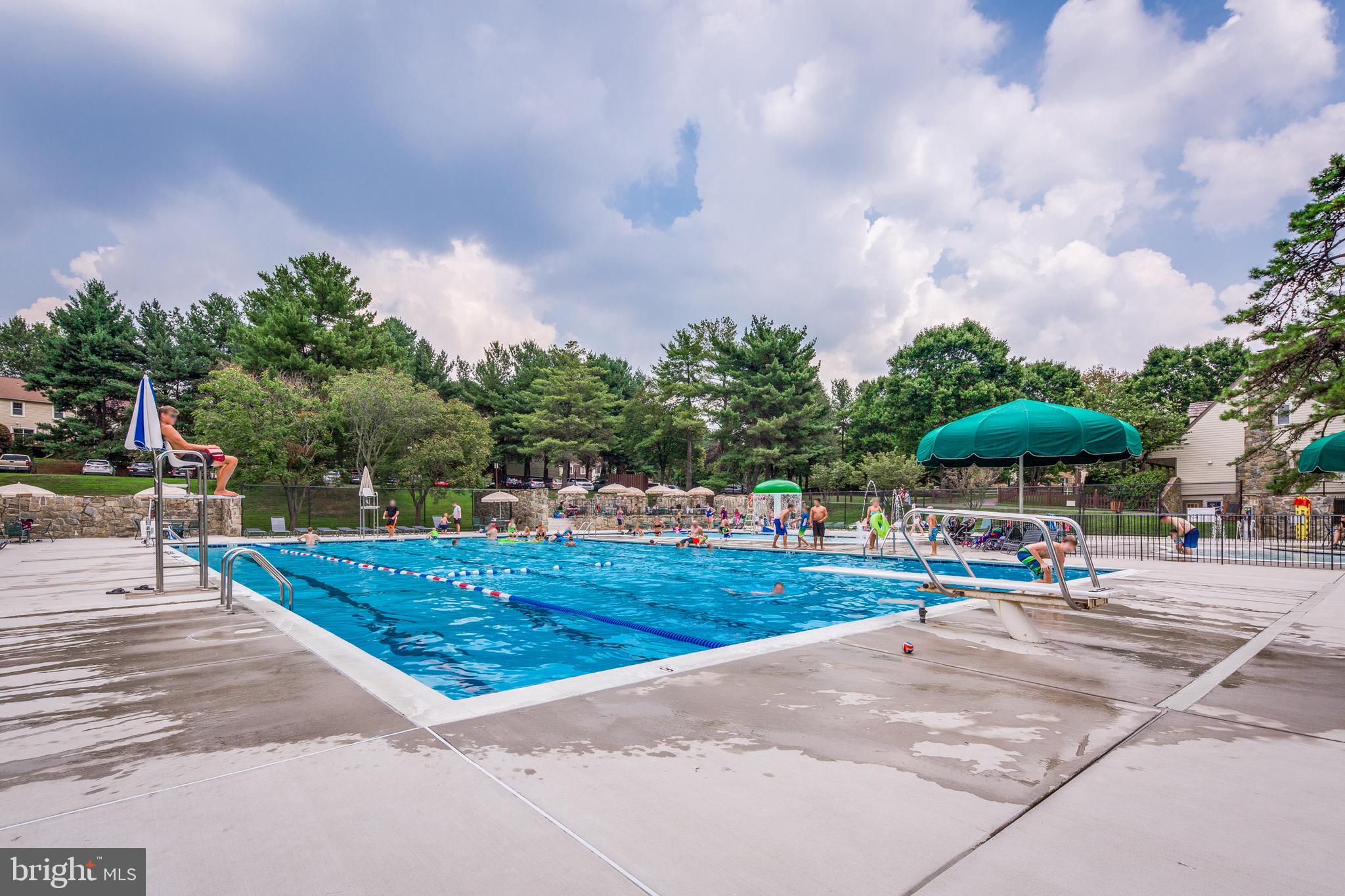 6103 Winter Park Drive Burke, VA 22015 - Photo 90 of 93 Walking to the Ponds pool.