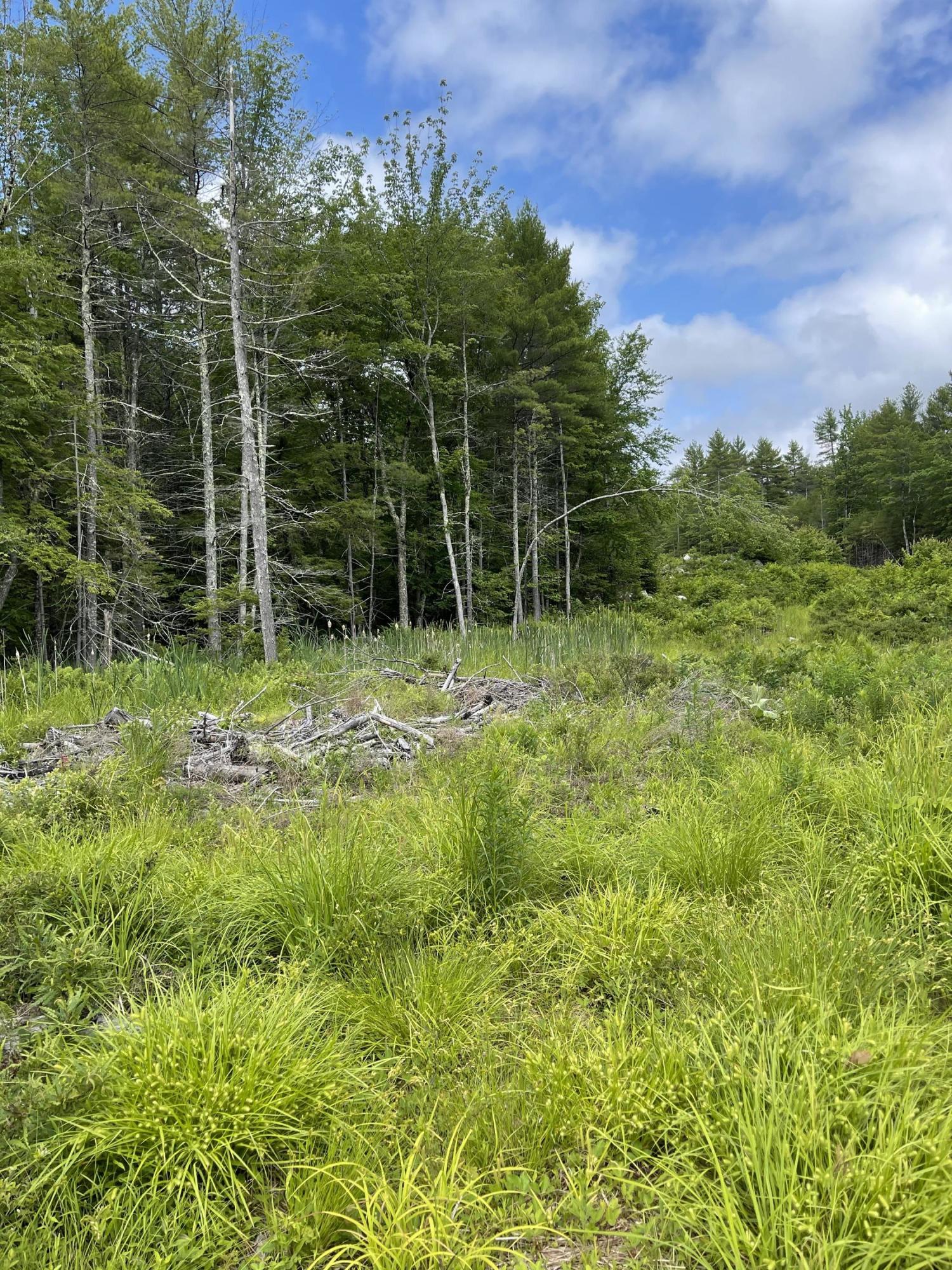 Lot 6-17 Natures Way Steep Falls, ME 04085 - Photo 14 of 20 IMG_1528
