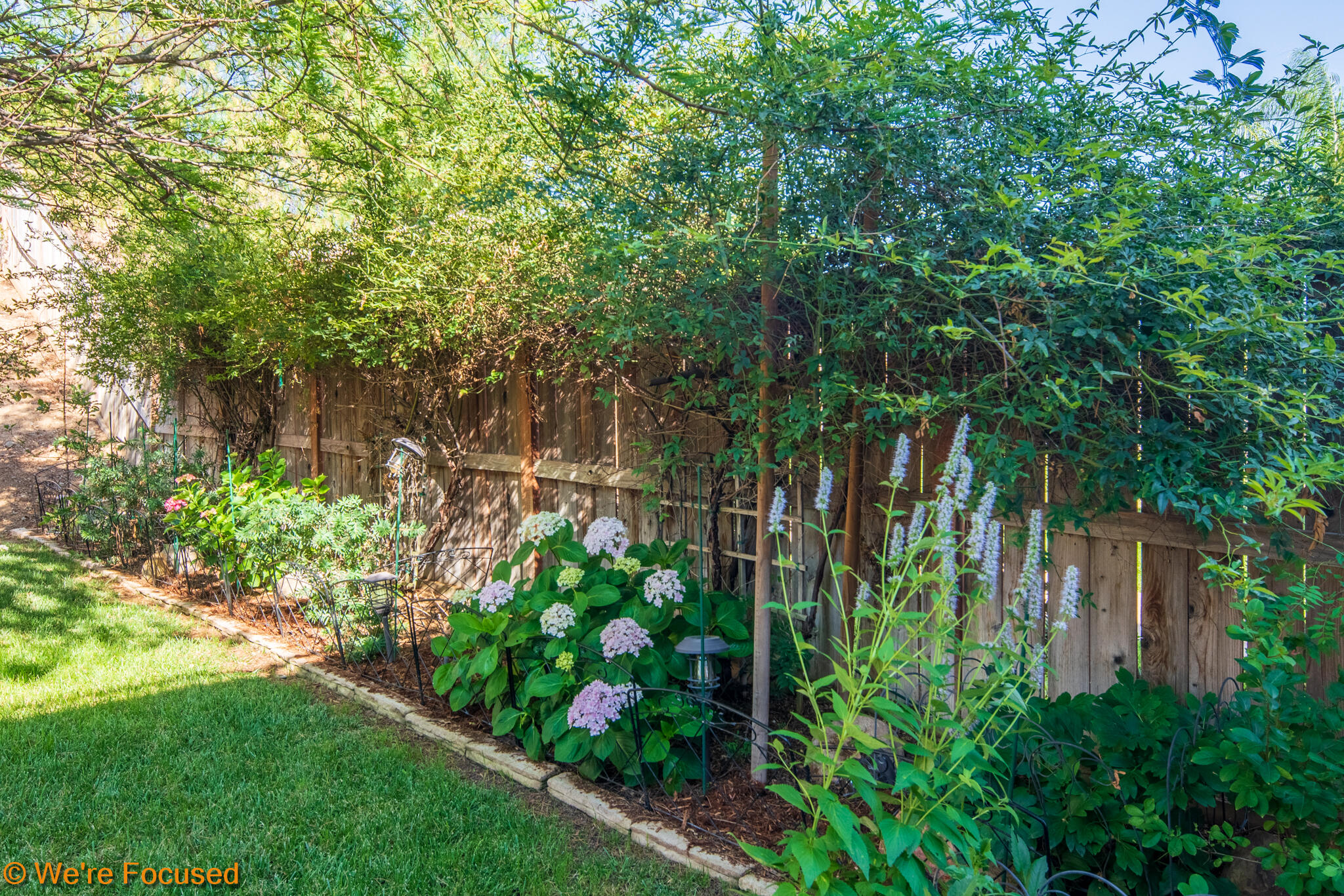 33856 Augusta Circle Yucaipa, CA 92399 - Photo 33 of 55 a backyard of a house with lots of green space and garden