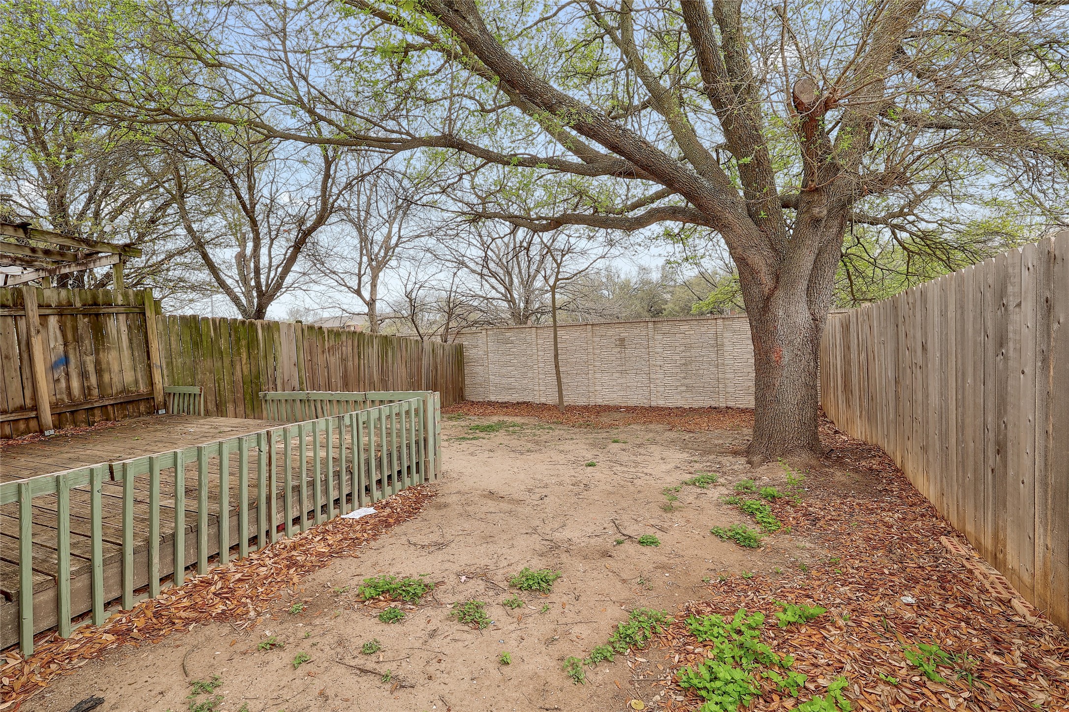 1915 Margalene Way Austin, TX 78728 - Photo 19 of 23 a front view of a house with a large tree