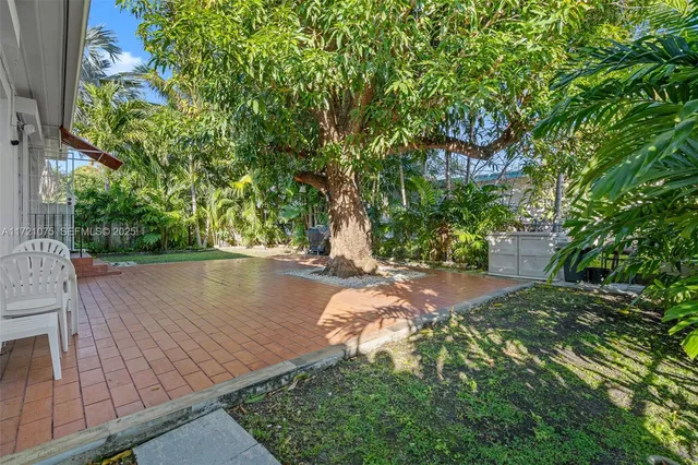 a view of a backyard with plants and large trees