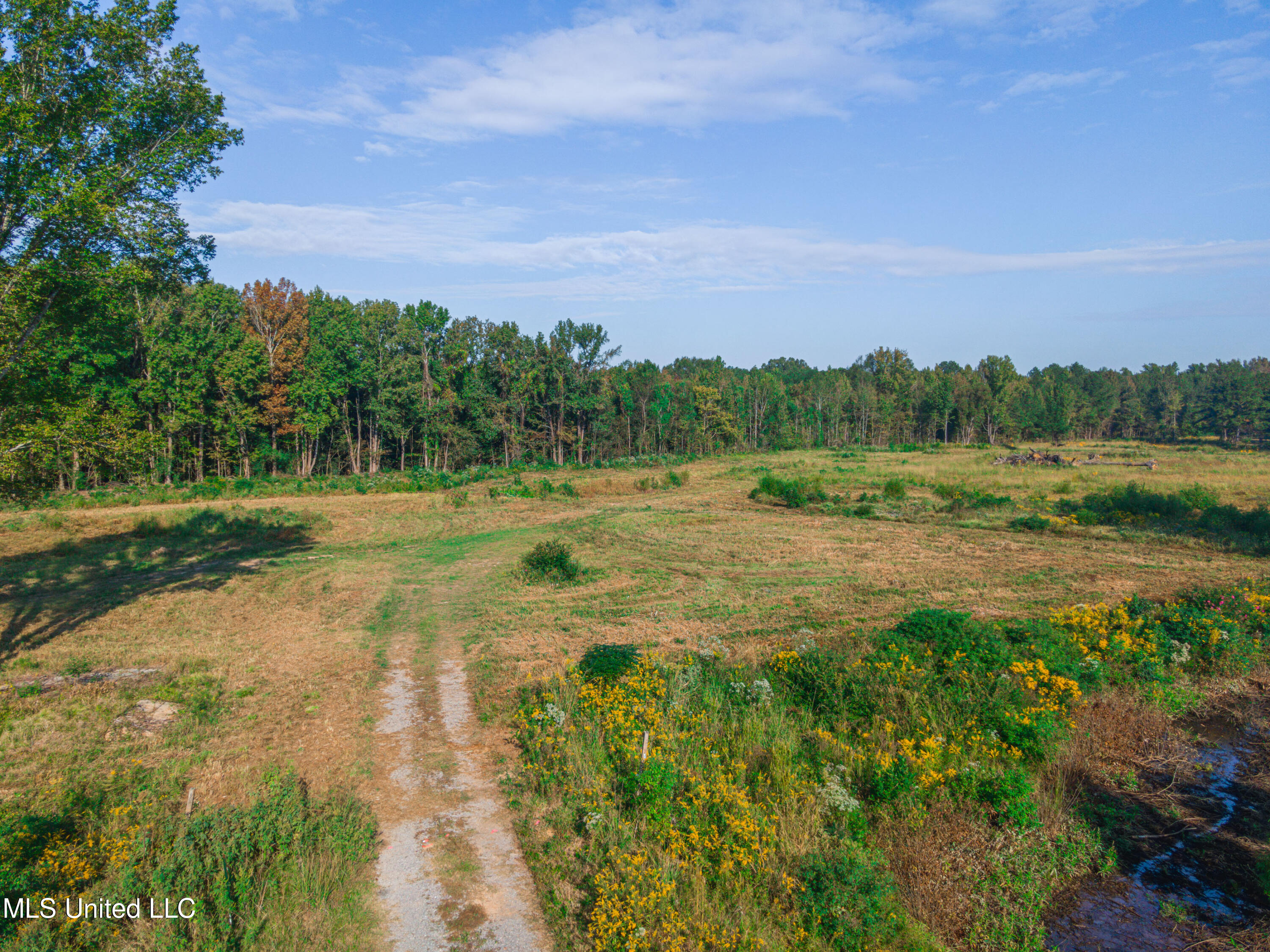 1909 Highway 51 Madison, MS 39110 - Photo 8 of 13 DJI_0066-Enhanced-NR