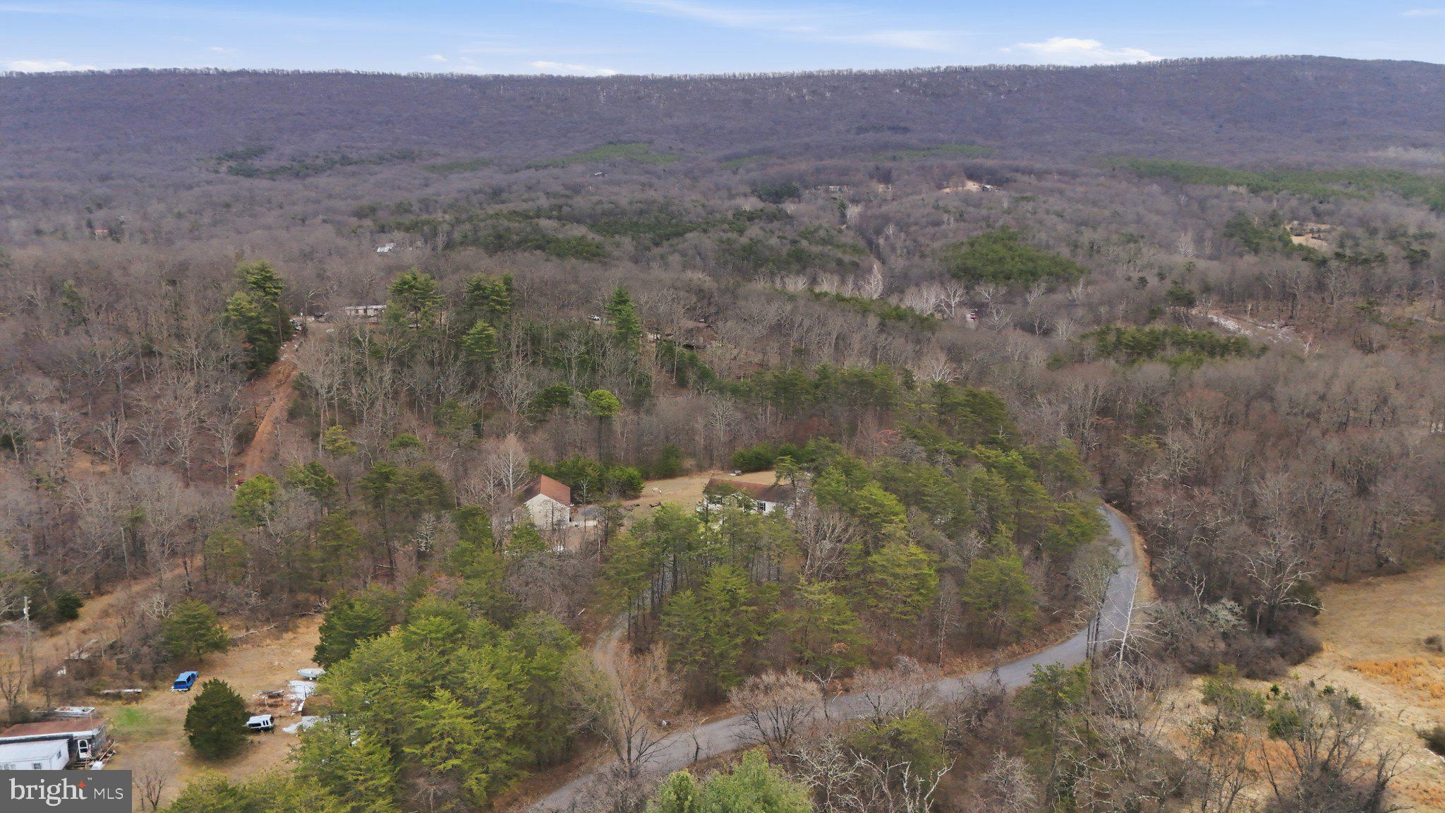 271 Packing Shed Road Berkeley Springs, WV 25411 - Photo 29 of 38 Serene woodland retreat awaits discovery.