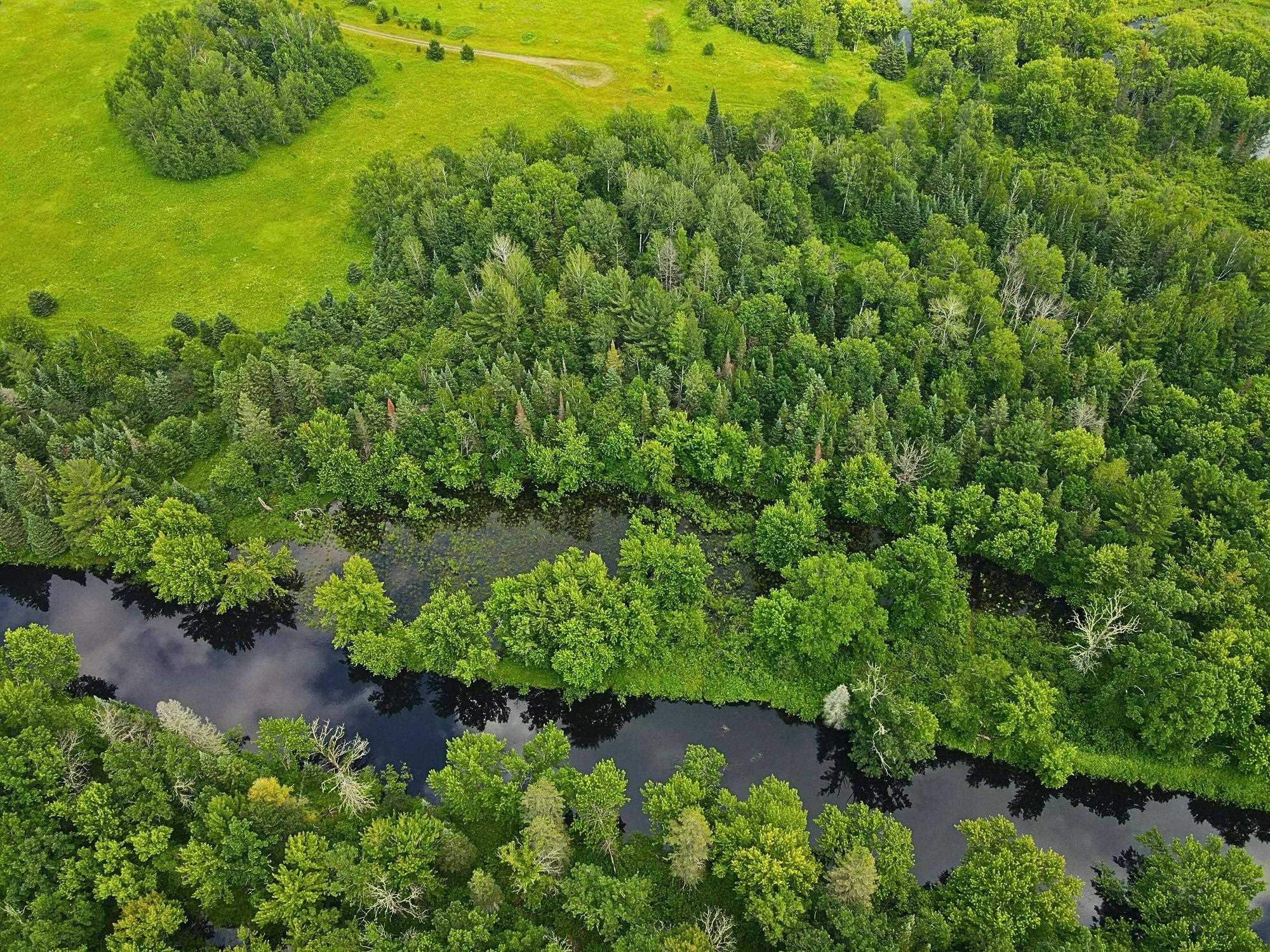 3.20-a Bert Schmidt Road Glidden, WI 54527 - Photo 1 of 1 Gallery Image 1