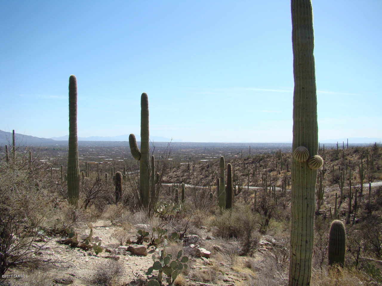12161 East Coronado Road Tucson, AZ 85749 - Photo 4 of 11 Gallery Image 4