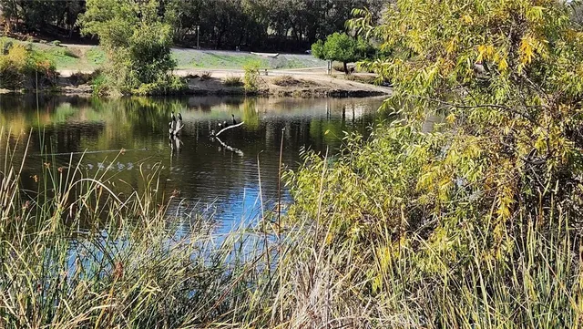 $4,795 | 24212 Davida, Laguna Niguel, CA 92677