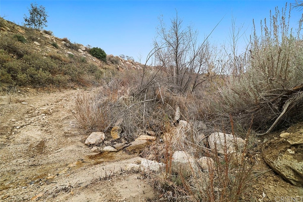 30231 Aliso Canyon Road Palmdale, CA 93550 - Photo 7 of 38 a view of a forest with a tree
