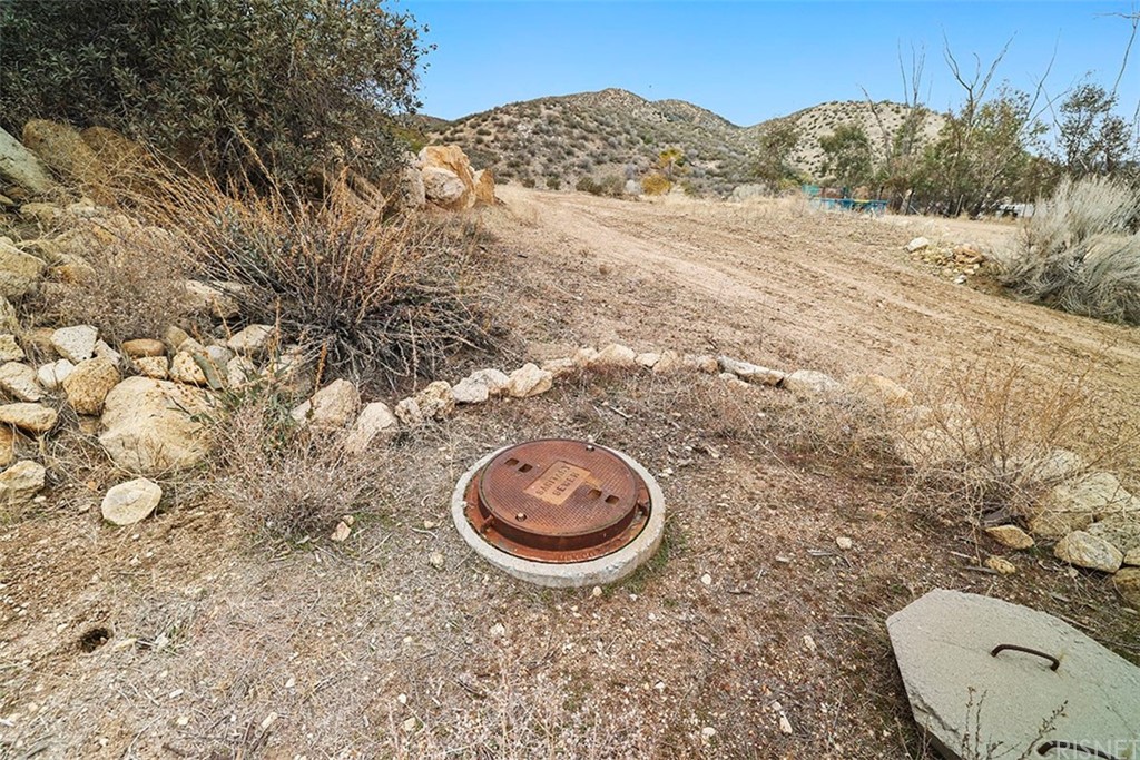 30231 Aliso Canyon Road Palmdale, CA 93550 - Photo 9 of 38 a view of a backyard of a house