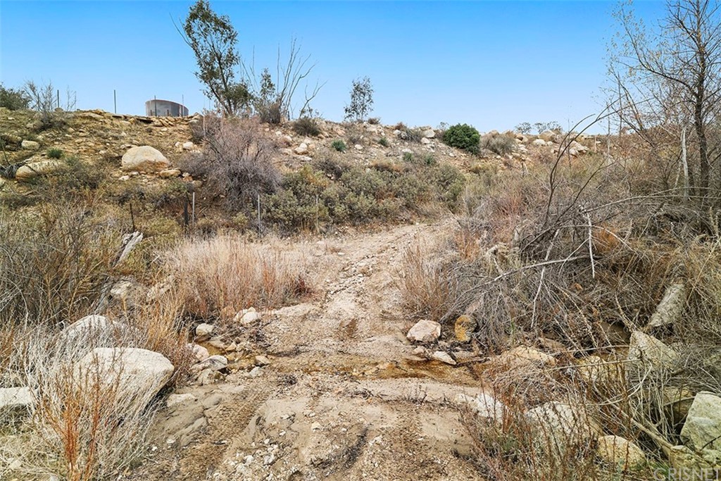 30231 Aliso Canyon Road Palmdale, CA 93550 - Photo 10 of 38 a view of a yard of a house