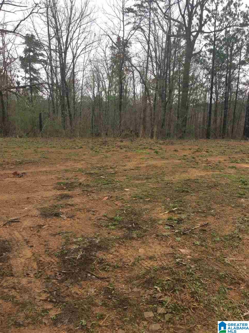 8941 Corner School Road, Unit 3 009 Warrior, AL 35180 - Photo 5 of 5