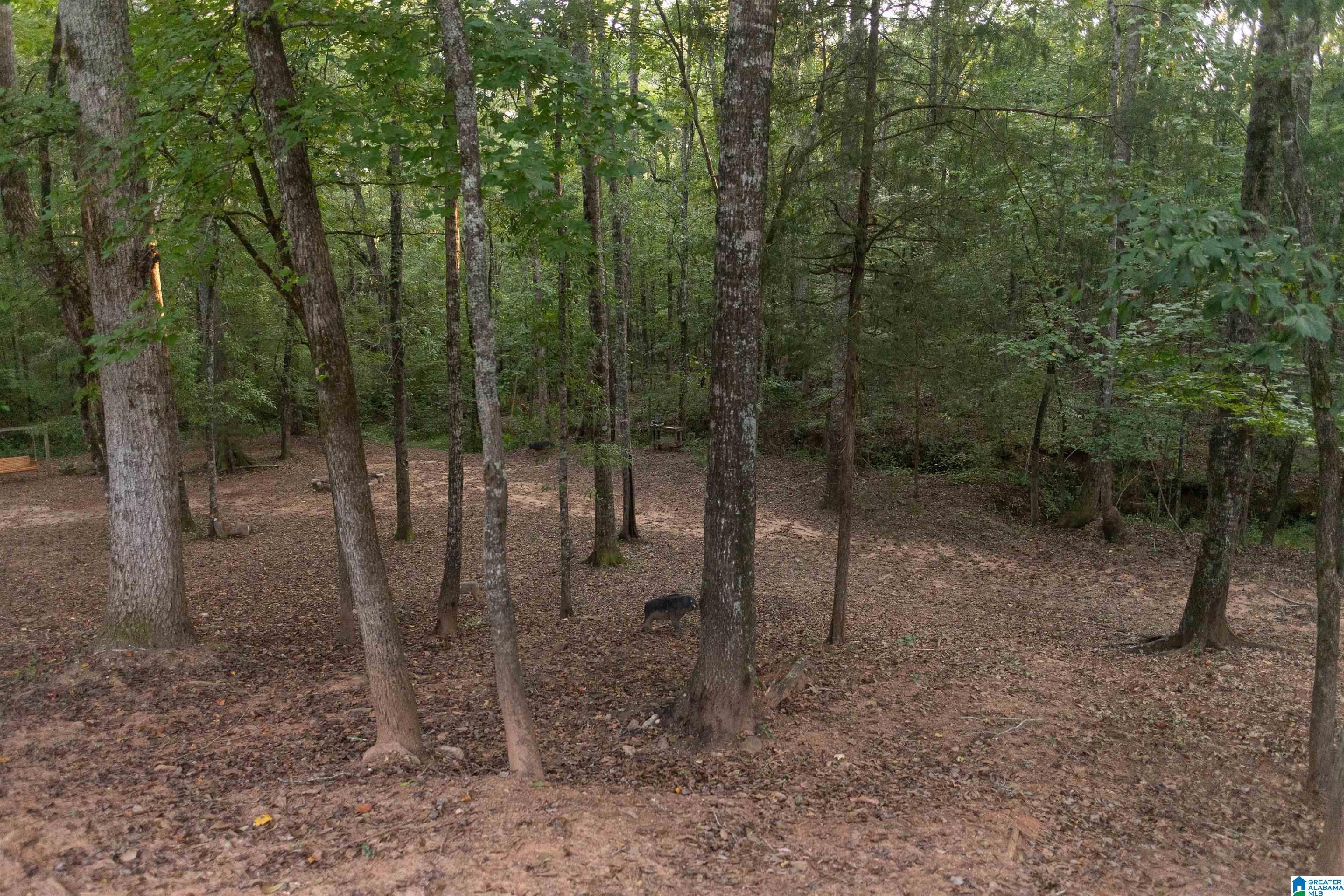 1045 Lee Road Valley, AL 36854 - Photo 18 of 32 Gallery Image 18