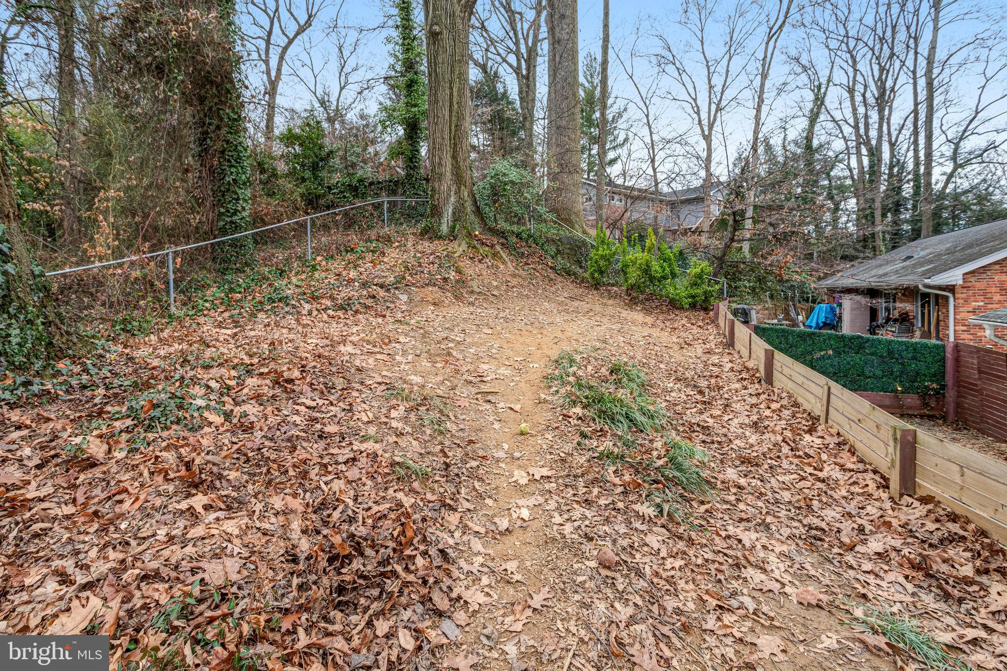 3710 Lorcom Lane Arlington, VA 22207 - Photo 26 of 26