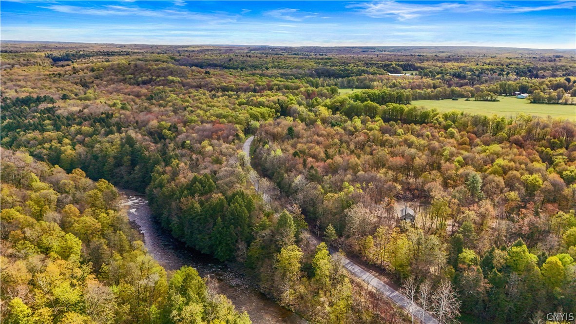 4456 Palmer Road Taberg, NY 13471 - Photo 31 of 35