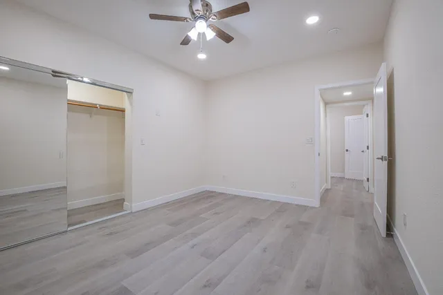 a view of a tree in the middle of a forest