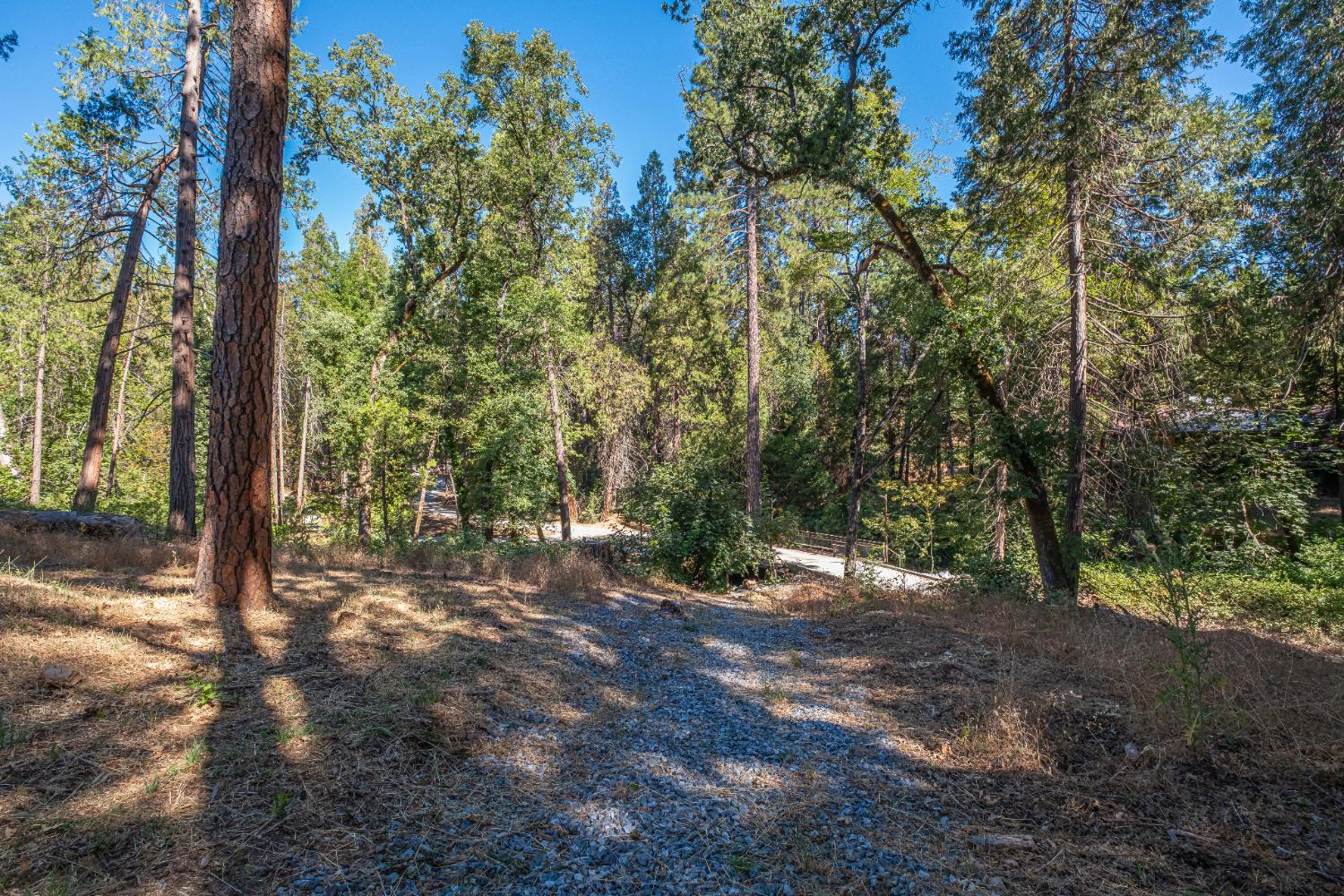 7701 Sly Park Road Placerville, CA 95667 - Photo 29 of 35 a view of a yard with a tree