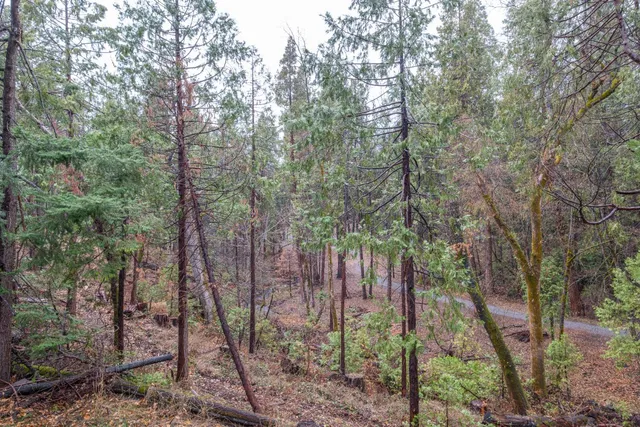 a view of outdoor space and trees