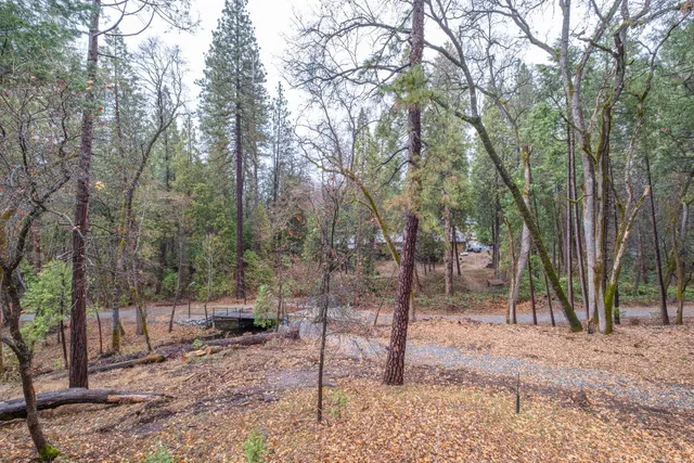 a view of a yard with trees