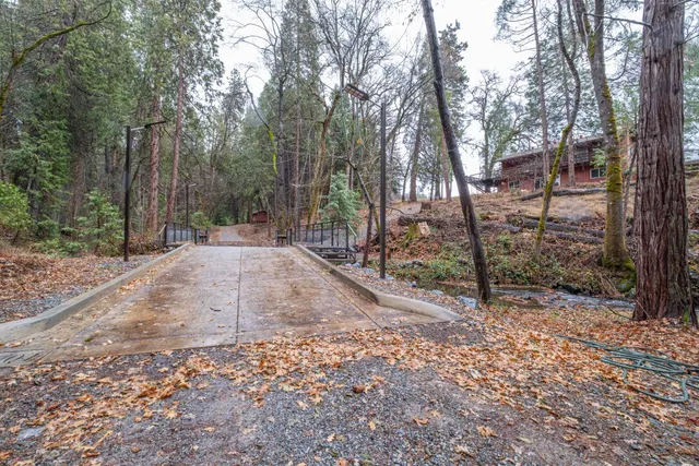 a view of a backyard with trees