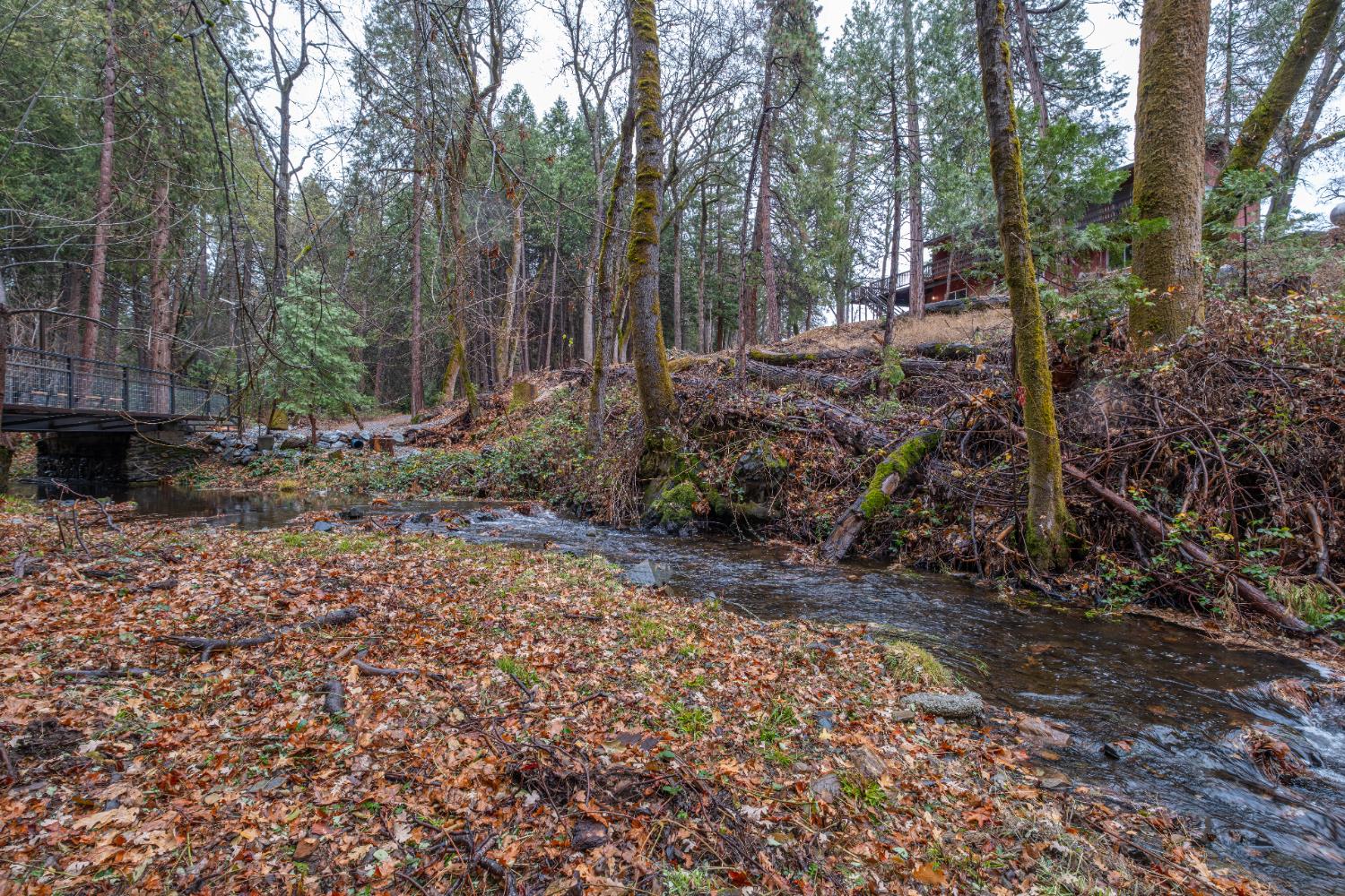 7701 Sly Park Road Placerville, CA 95667 - Photo 34 of 35 a view of a backyard with trees