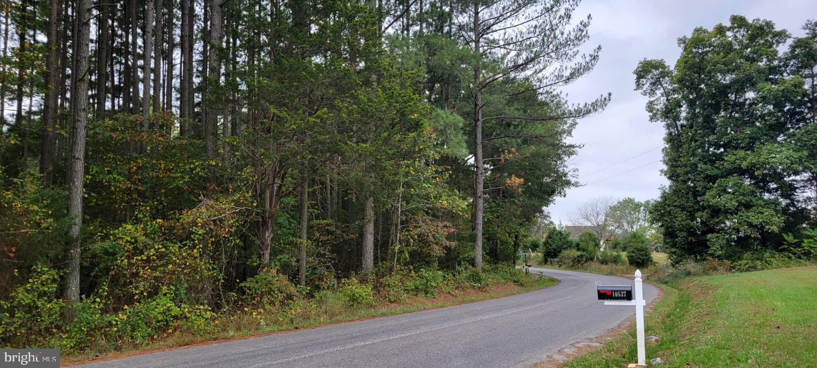 0 Woolfolk Road Spotsylvania, VA 22551 - Photo 3 of 8 fronts onto hardtop road near Lake Anna!