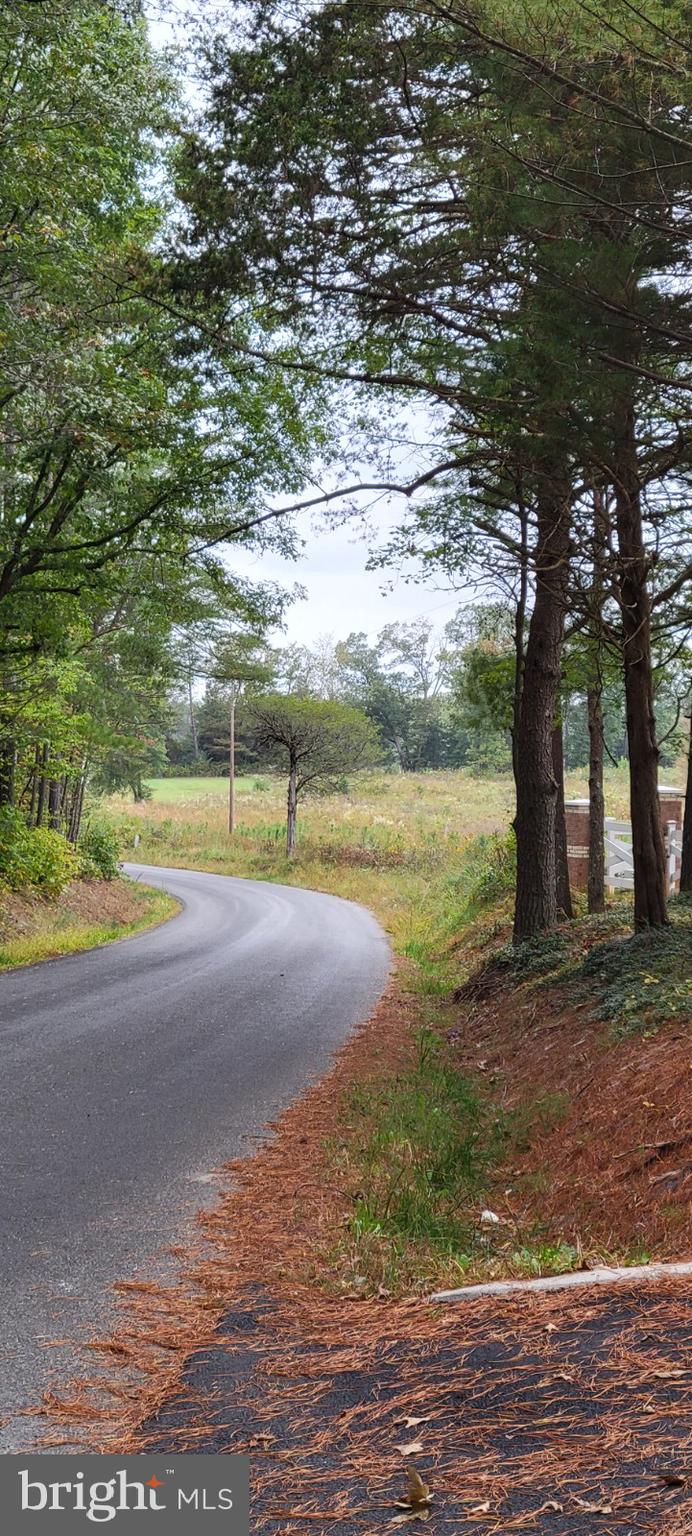 0 Woolfolk Road Spotsylvania, VA 22551 - Photo 8 of 8 Come see this today!
