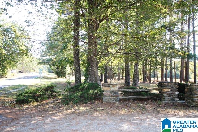 0 County Road 928, Unit 19 Delta, AL 36258 - Photo 43 of 43