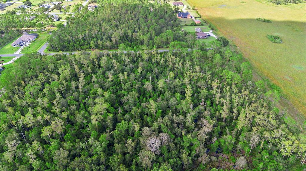 0 Racine Street Orlando, FL 32833 - Photo 13 of 16 a view of a garden