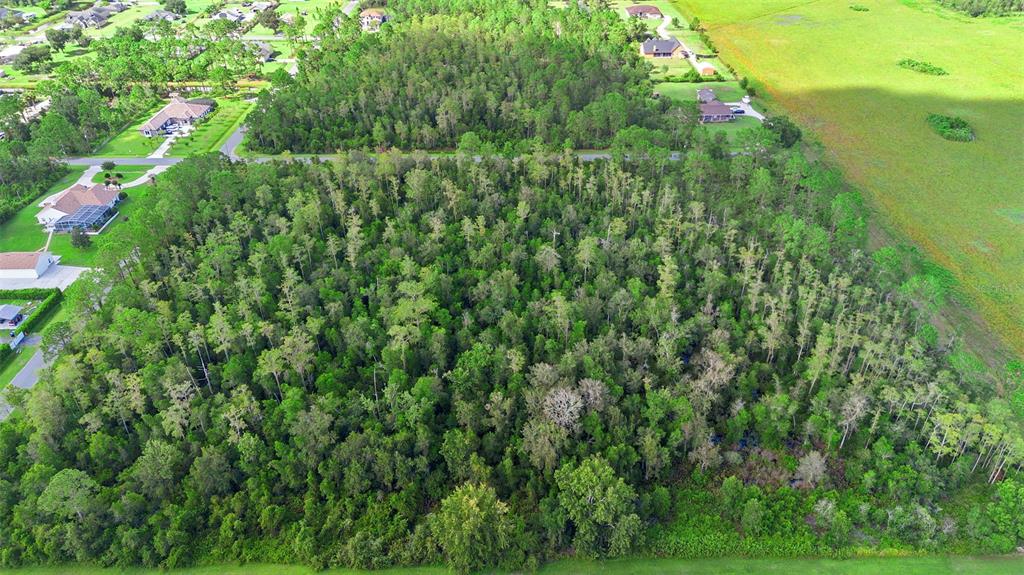 0 Racine Street Orlando, FL 32833 - Photo 14 of 16 a view of a garden