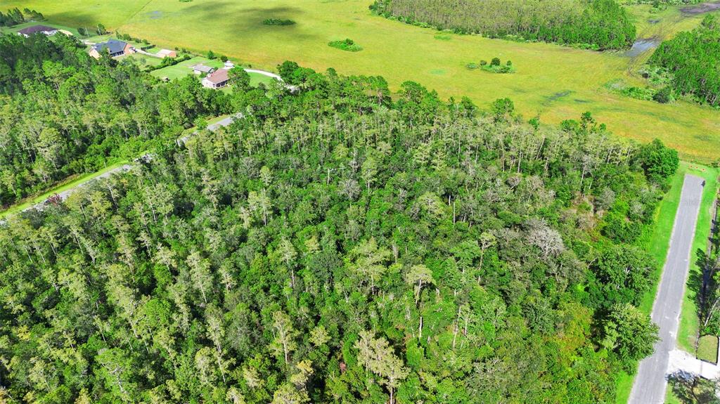 0 Racine Street Orlando, FL 32833 - Photo 16 of 16 a view of a large garden with lots of bushes