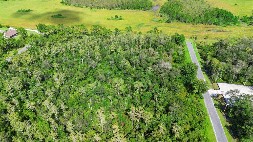 0 Racine Street Orlando, FL 32833 - Photo 2 of 16 a view of yard with green space
