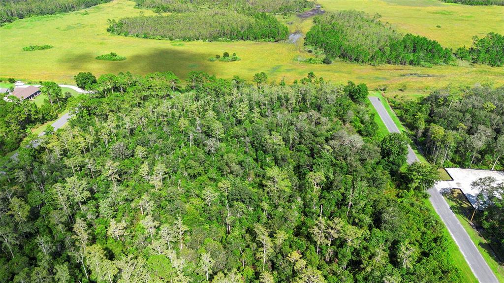0 Racine Street Orlando, FL 32833 - Photo 3 of 16 a view of a garden with a lake