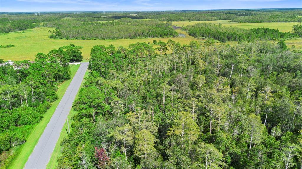 0 Racine Street Orlando, FL 32833 - Photo 5 of 16 a view of a lush green space with sea