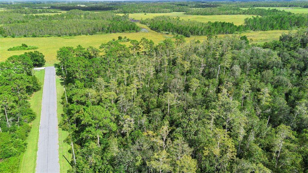 0 Racine Street Orlando, FL 32833 - Photo 6 of 16 a view of a garden with a building