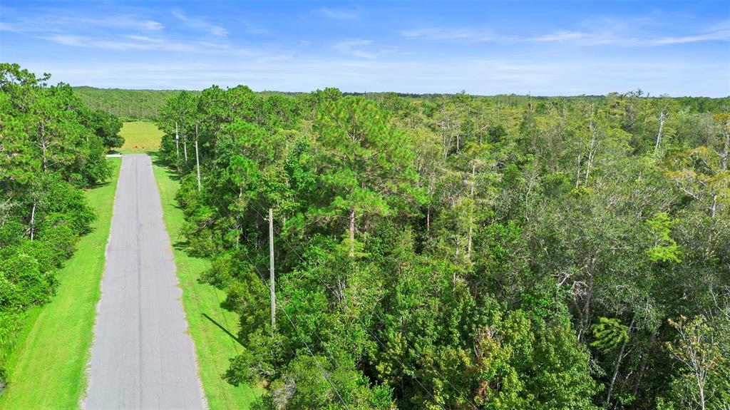 0 Racine Street Orlando, FL 32833 - Photo 8 of 16 a view of a garden