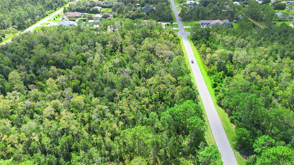 0 Racine Street Orlando, FL 32833 - Photo 10 of 16 a view of a lush green forest with trees