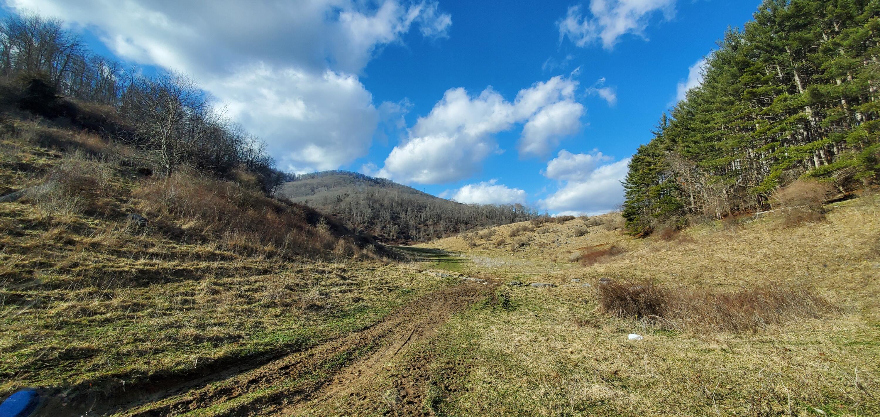 Davis Stuart Road Lewisburg, WV 24901 - Photo 32 of 72 Gallery Image 32
